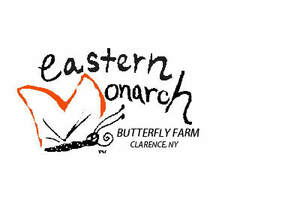 Eastern Monarch Butterfly Farm New York NY