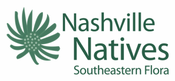 Nashville Natives Southeastern Flora Asclepias Milkweed TN