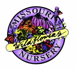 Missouri Wildflowers Nursery Asclepias Milkweed MO