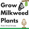 GROW MILKWEED PLANTS
