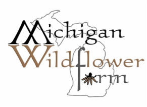 Michigan Wildflower Farm MI Asclepias Milkweed