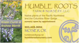 Humble Roots Farm & Nursery Oregon Milkweed