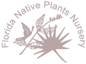 Florida Native Plants nursery milkweed asclepias