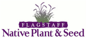 Flagstaff Arizona native milkweed plants Asclepias AZ