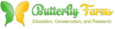 Butterfly Farms Vista California milkweed