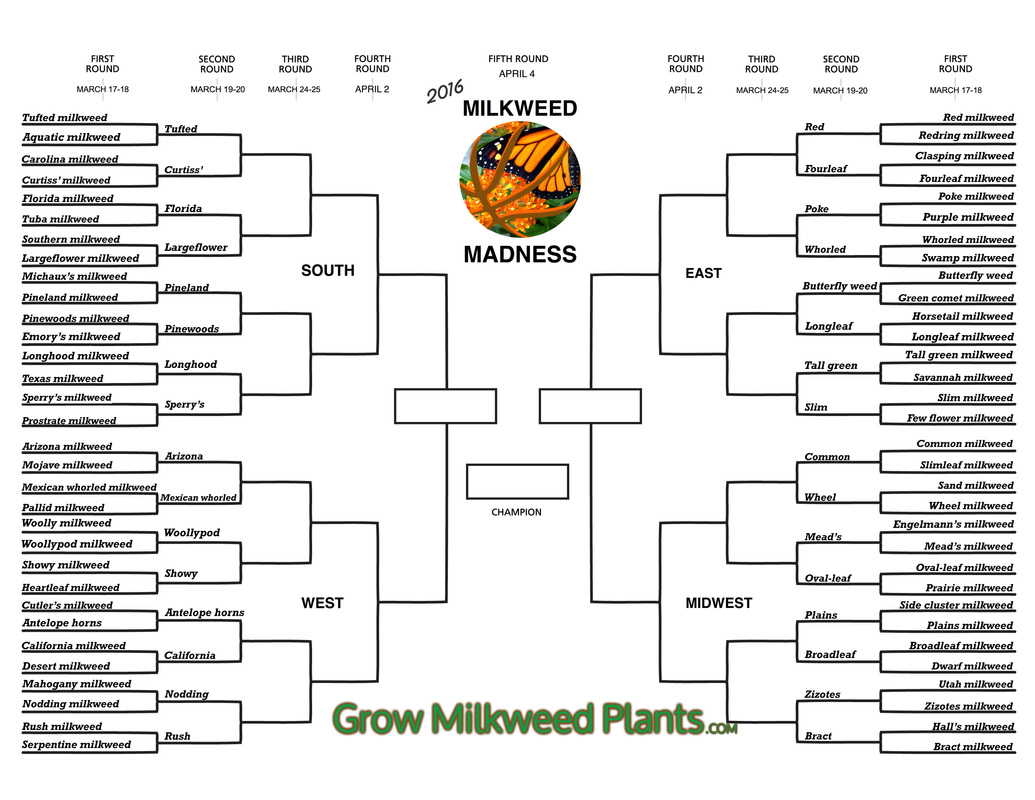 Milkweed Madness 2016 Bracket 2nd Round