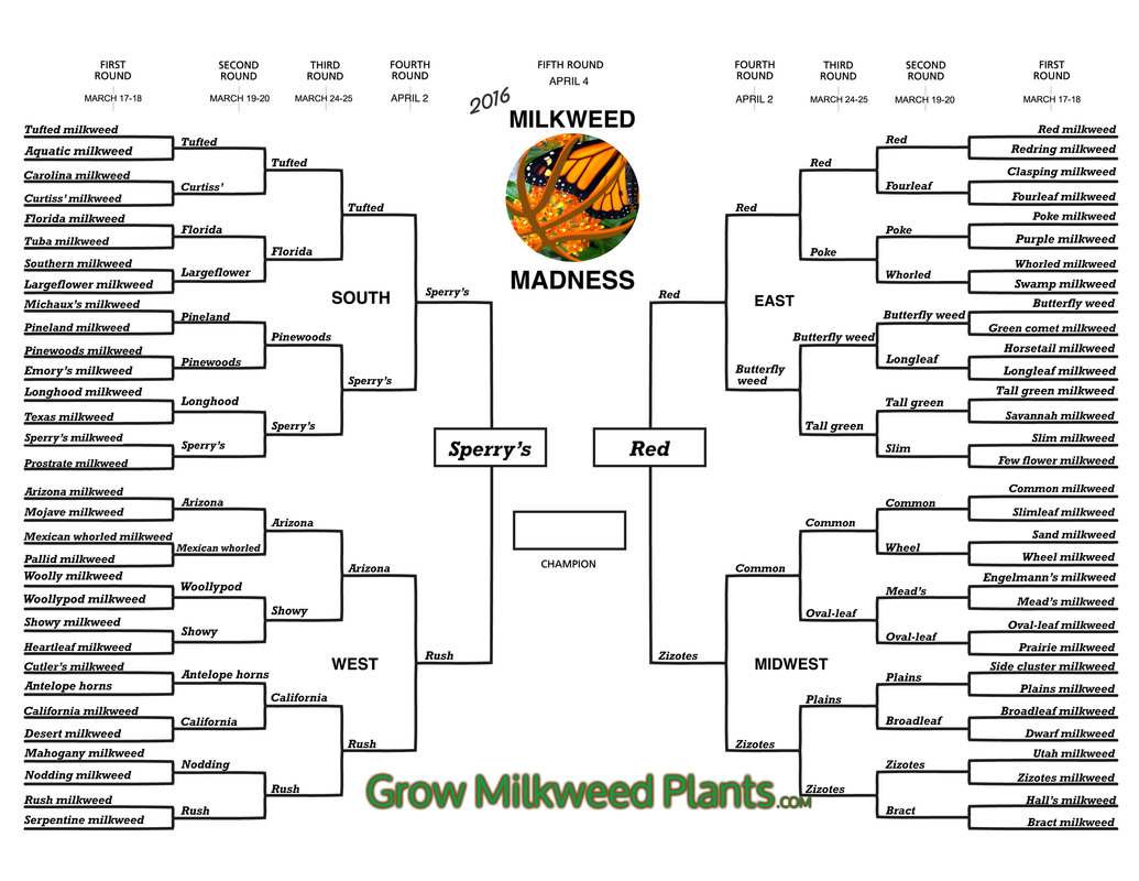 Milkweed Madness Championship Round