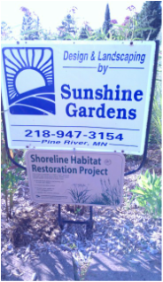 Sunshine Gardens Nursery and Landscaping milkweed asclepias