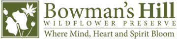 Bowman's Hill Wildflower Preserve Native Milkweed PA