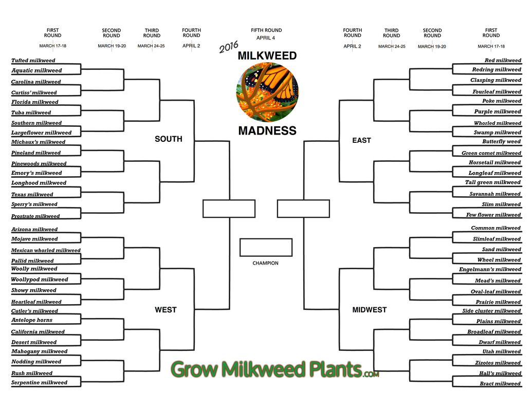 Milkweed Madness 2016 Bracket