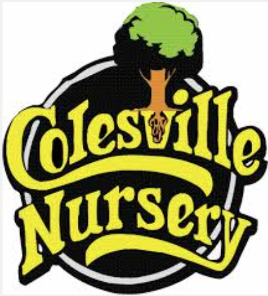 Colesville Nursery Ashland Virginia logo milkweed asclepias