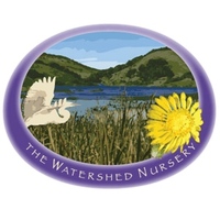 The Watershed Nursery California Native Plants and Habitat Enhancement Services