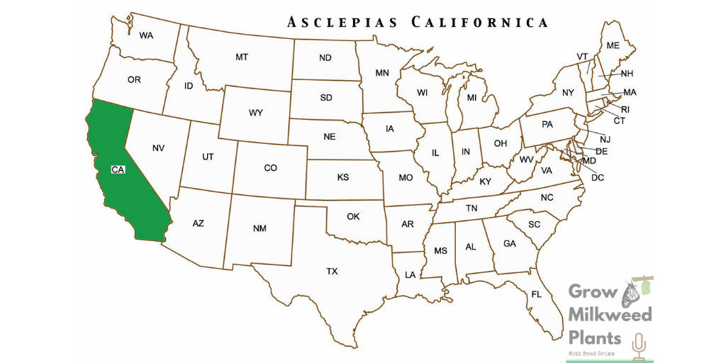 CALIFORNIA MILKWEED, ASCLEPIAS CALIFORNICA native range