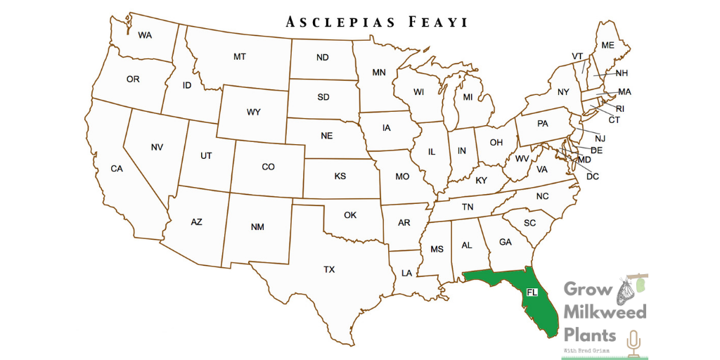 FLORIDA MILKWEED, ASCLEPIAS FEAYI native range
