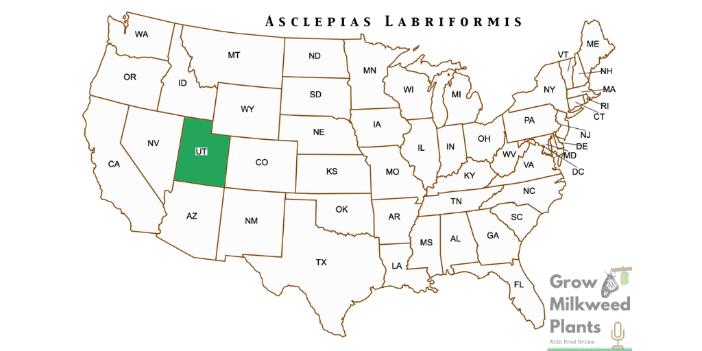 Utah milkweed, Asclepias labriformis native range
