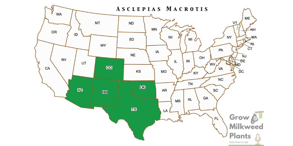 LONGHOOD MILKWEED, ASCLEPIAS MACROTIS native range