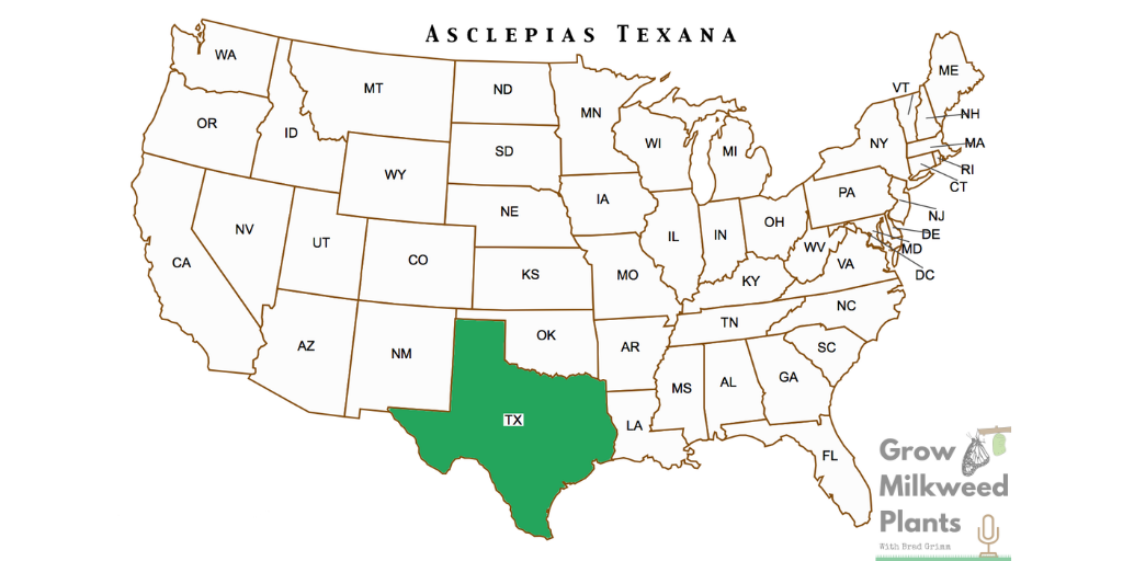 Texas milkweed, Asclepias texana native range