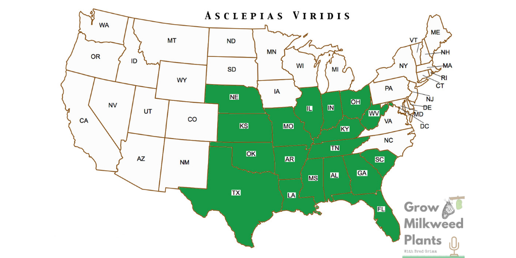 GREEN ANTELOPEHORN, ASCLEPIAS VIRIDIS native range