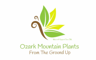 Ozark mountain plants Harrison AR milkweed