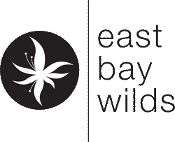 East Bay Wilds Native Plant Nursery