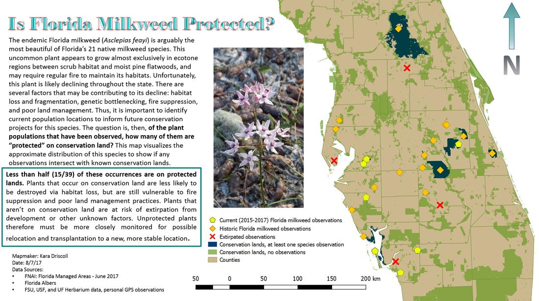 Distribution of Florida milkweed (asclepias feayi) on conservation land Kara Driscoll