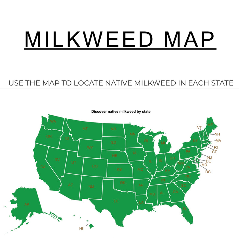 Milkweed Map