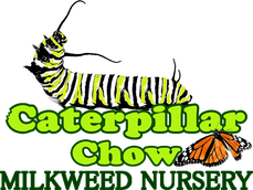 Caterpillar Chow, Lakeside California
