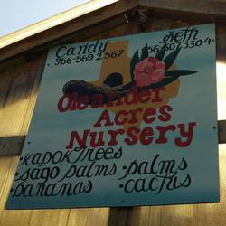 Oleander Nursery, Mission TX