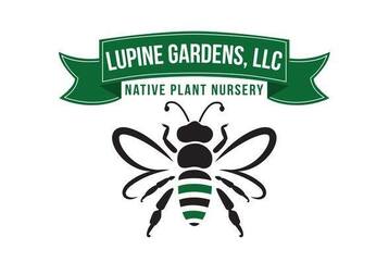 Lupine Gardens Amery Wisconsin Milkweed Asclepias