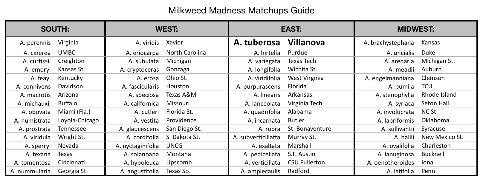 Milkweed Madness 2018 Tournament Championship Round A