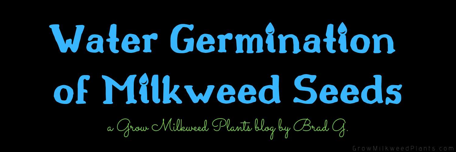 Water Germination of Milkweed Seeds a Grow Milkweed Plants blog by Brad G.